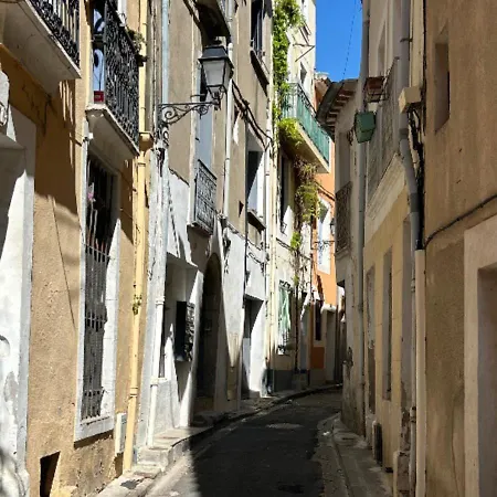 Atypique Sur 3 Niveaux En Centre-ville *